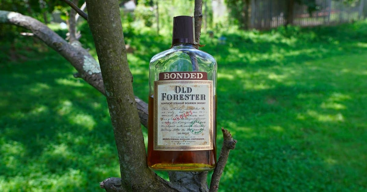 Old Forester Bottled In Bond 1980s Review [In Depth] The Whiskey Shelf