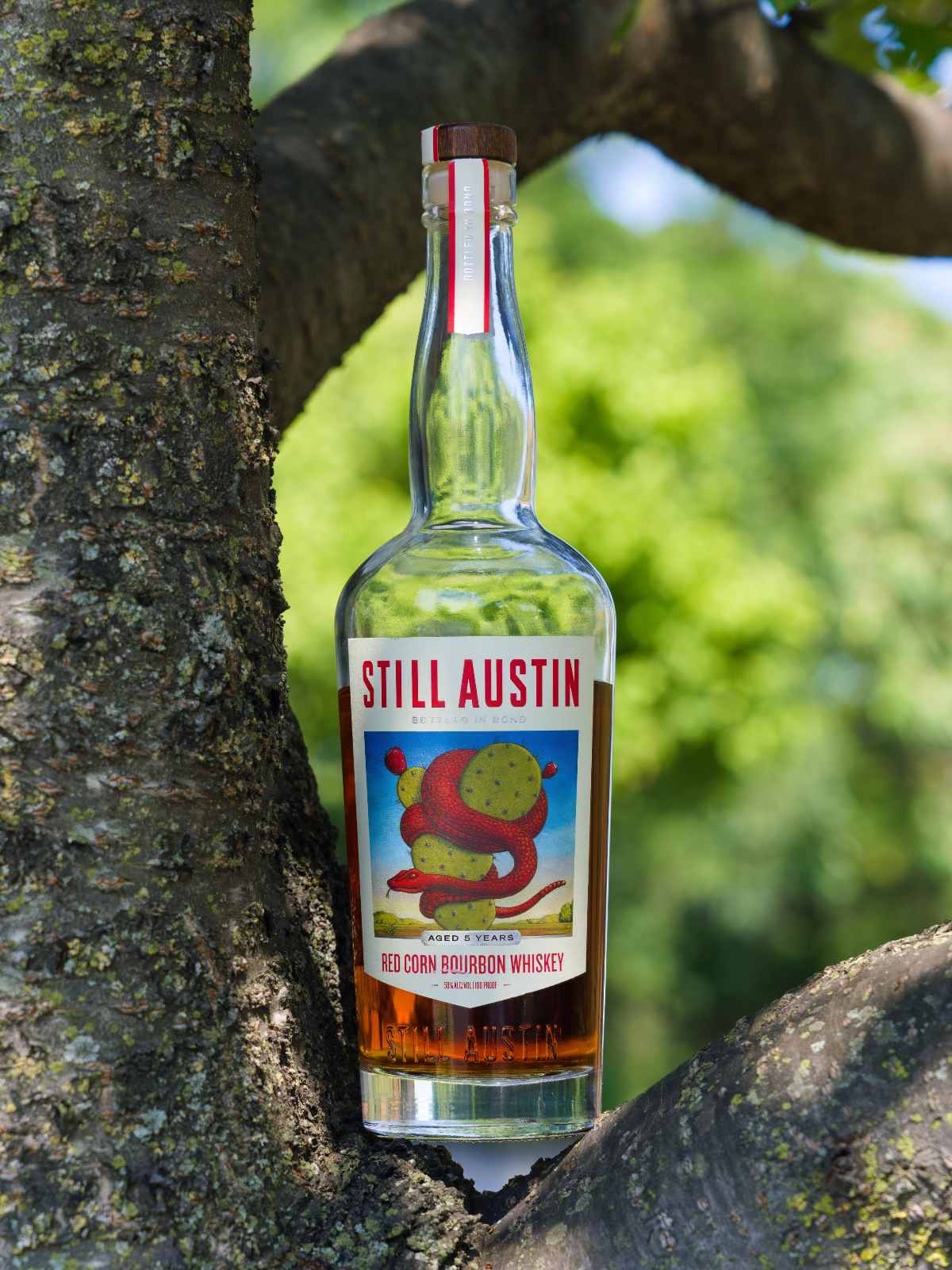 still austin bottled in bond red corn 5 year featured